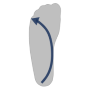Außenrotation
