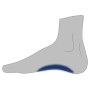 Sehne Großzehenbeuger